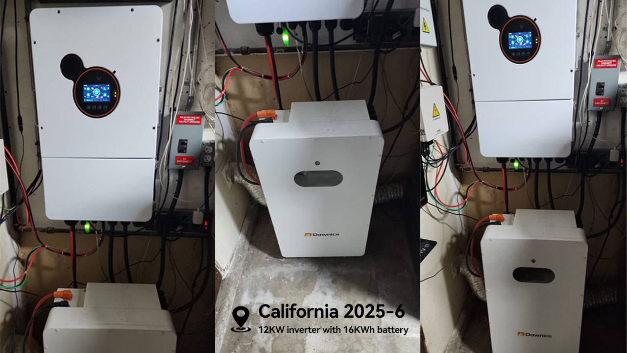 Robert's Remarkable Energy Journey in California with Dawnice
